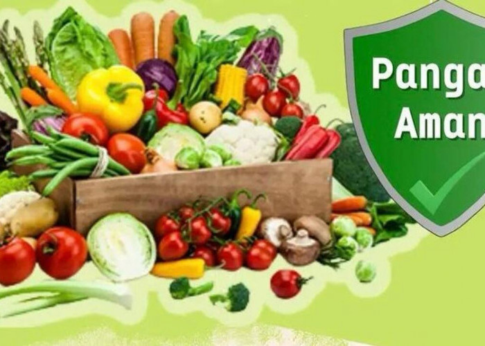 Jarang Makan Sayur dan Buah? Ini Dampaknya bagi Kesehatan Tubuh