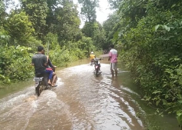 Sungai Mendangkal, Ruas Jalan Desa di Kabupaten Ini Tergenang Banjir