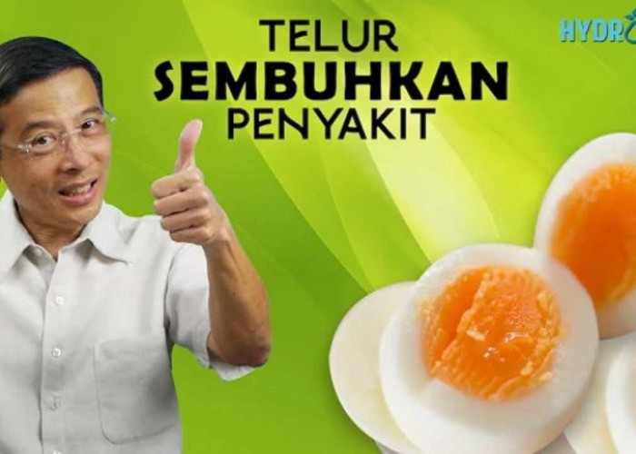 Telur Bisa Sembuhkan Penyakit? Simak Fakta Menariknya di Sini!