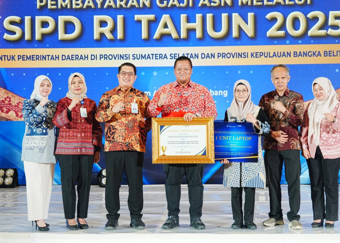 Pemkab Banyuasin Terima Penghargaan Apresiasi SIPD RI dari Bank Sumsel Babel