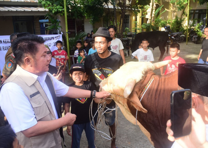 Presiden Prabowo Subianto Salurkan 18 Sapi Kurban untuk Sumsel