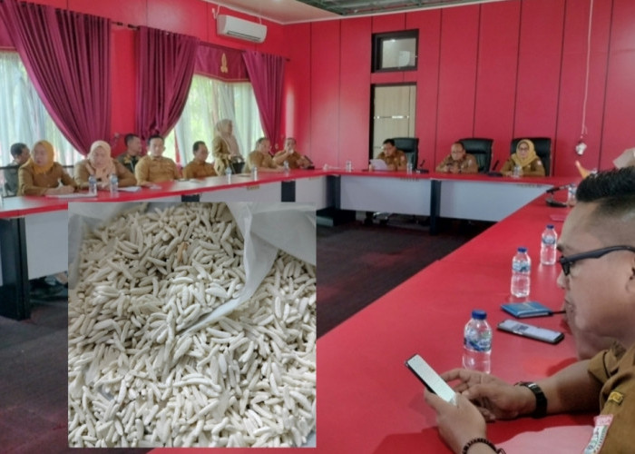 Beras Dicurigai Mengandung Plastik, Sekda Banyuasin: Itu Vitamin, Namun Sampel Tetap Diuji