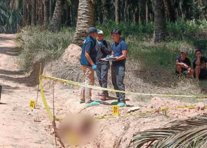 Misteri Penemuan Mayat di Kebun Sawit PT Hindoli Muba, Polisi Dalami Dugaan Korban Dibuang