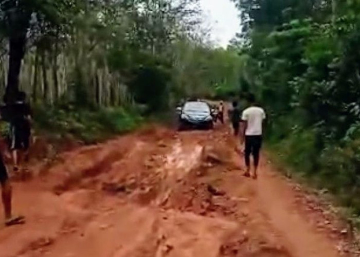 Tak Tersentuh Pembangunan Sejak Dimekarkan, Jalan Penghubung Ini Sering Sebabkan Kecelakaan