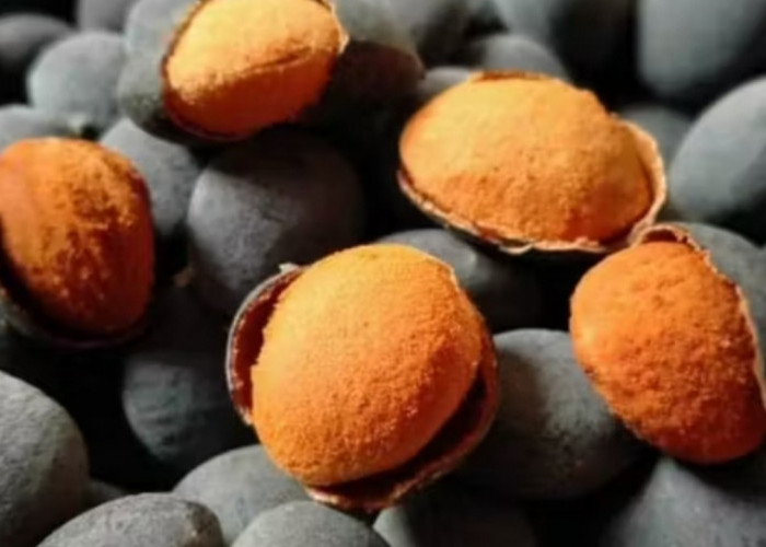 Jangan Remehkan Keranji! Antioksidannya Bantu Lawan Radikal Bebas