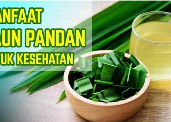 Lebih dari Sekedar Wangi! Ini 5 Penyakit yang Bisa Dicegah Pakai Daun Pandan!