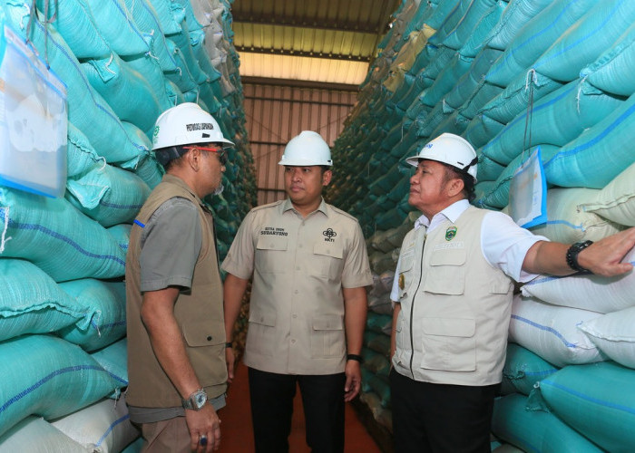 Sumsel Siap Dorong Ketahanan Pangan Lewat Percepatan Tanam