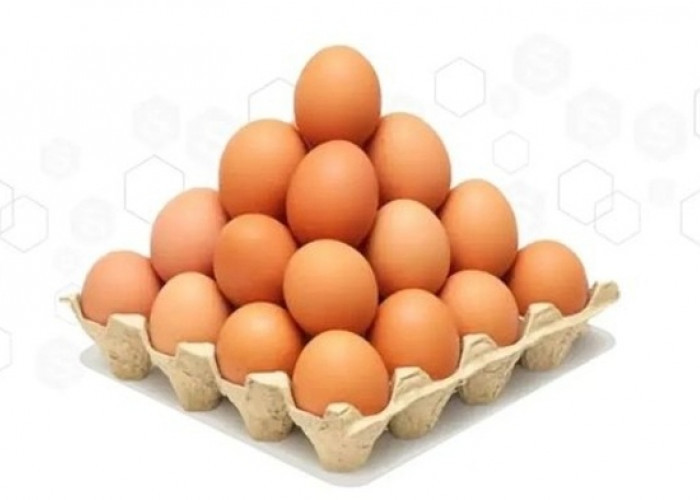 Panduan Lengkap: Cara Membedakan Telur Baru dan Telur Lama untuk Keamanan dan Kesehatan