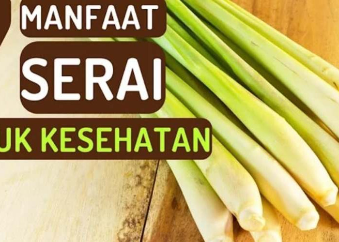 7 Manfaat Daun Serai untuk Kesehatan, Rahasia Alami yang Perlu Anda Ketahui