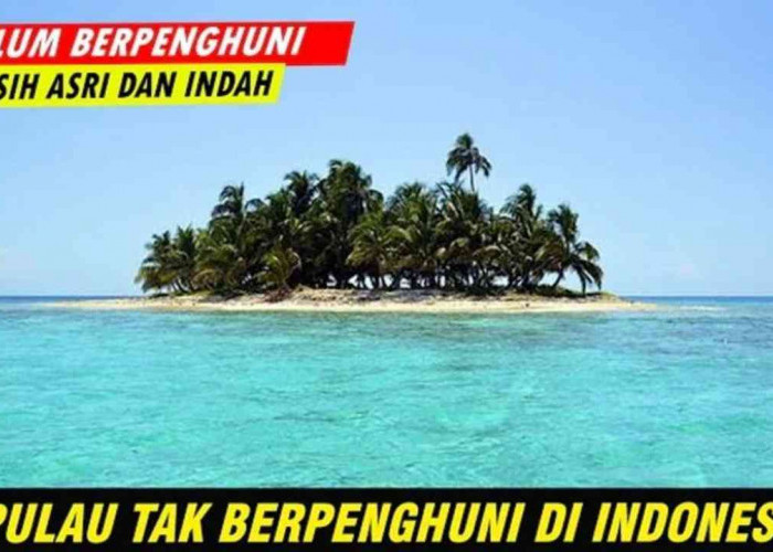 Terdampar di Pulau Sunyi? Ini Dia Tips Bertahan Hidup Biar Selamat!