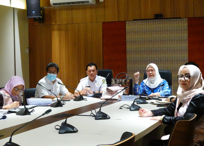 Dekranasda Sumsel Matangkan Persiapan sebagai Ikon Pameran Kriyanusa 2026