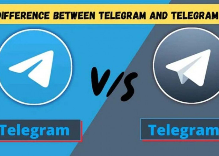 Bingung Antara Telegram dan Telegram X? Simak Bedanya di Sini!