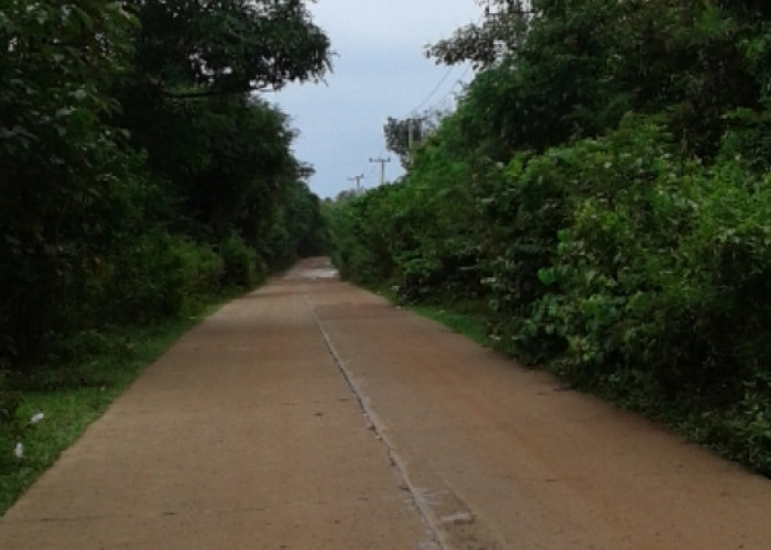 Jalan Provinsi di Wilayah Ini Gelap Gulita, Pengguna Jalan Berharap Lampu Penerang Jalan