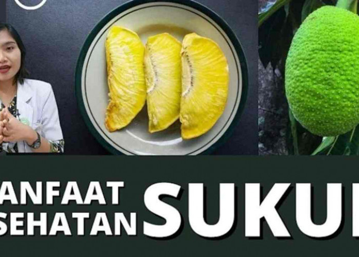 Tahukah Kamu? Ini 11 Manfaat Buah Sukun untuk Kesehatan