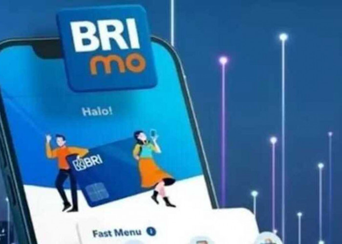 Tak Perlu Khawatir Telat Bayar Listrik ada Brimo Bayar Kapan Saja lewat Handphone 