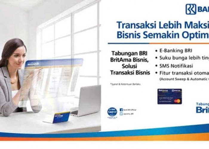 Mudah Kelola Bisnis dengan BritAma Bisnis