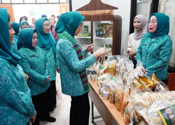 Ketua TP PKK Sumsel Minta PKK Ogan Ilir Rutin Evaluasi Program