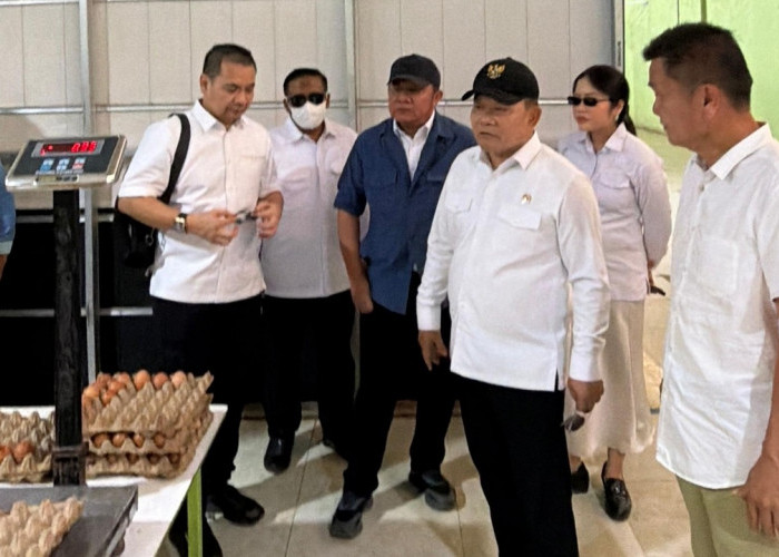 Herman Deru Tinjau Peternakan Ayam Petelur di Banyuasin, Produksi Capai 20 Ton per Hari