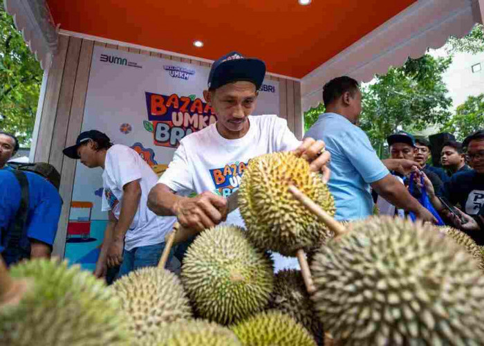 Kelompok Petani Durian di Pekalongan Makin Berkembang Berkat Pemberdayaan BRI