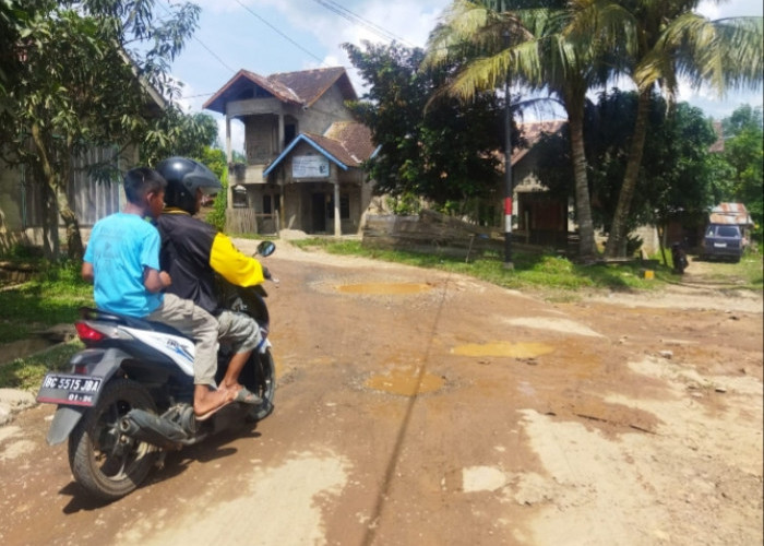 Jalan Desa di Banyuasin Ini Rusak Akibat Truk Bermuatan Kayu Balok