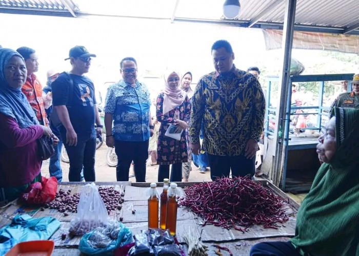 Sidak Pasar Sukomoro, Sekda Banyuasin: Harga Pangan Umumnya Normal, Cabai dan Bawang Putih Turun