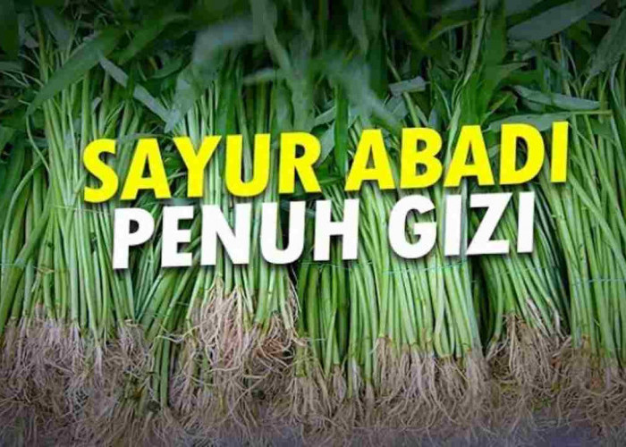 Kangkung, Sayur Sejuta Manfaat! Yuk, Kenali Keuntungannya buat Tubuh!