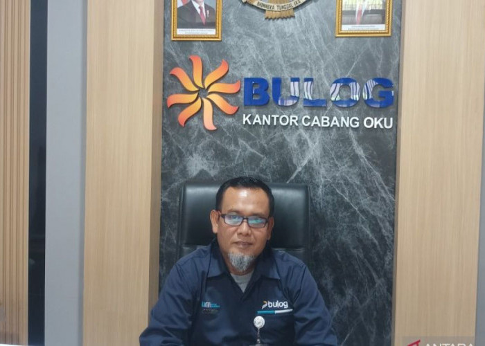 Bulog Serap 1.665 Ton Gabah Petani di OKU Timur