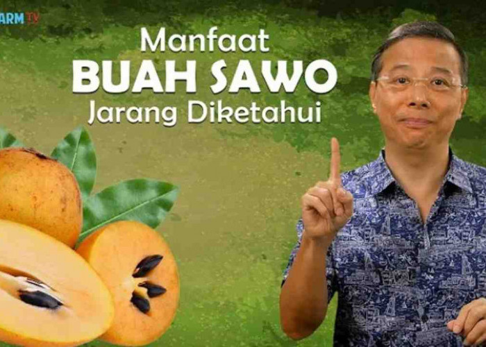 Siapa Sangka, Sawo Ternyata Memiliki 4 Manfaat Ini