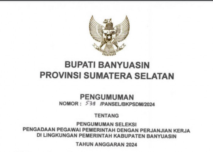 Pemkab Banyuasin Buka 4.960 Formasi PPPK 2024, Simak Jadwal dan Syaratnya!