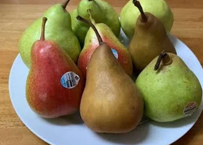 5 Jenis Buah Pir yang Sering Dijumpai di Pasaran Indonesia, Yang Mana Favoritmu?