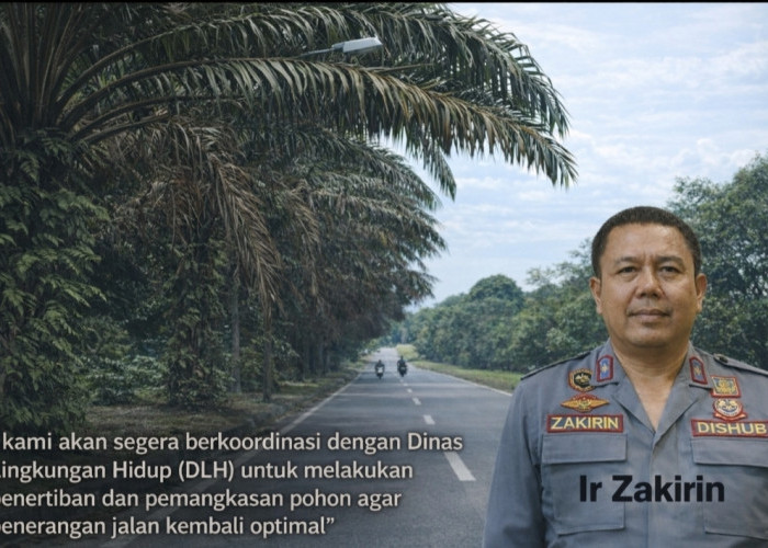 PJU Jalan Lingkar Banyuasin Dikeluhkan Warga, Ini Tanggapan  Kadishub Banyuasin!