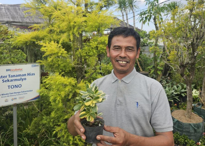 Sukses Jadi Mata Pencaharian Warga Sekitar, Ini Kisah Klaster Usaha Tanaman Hias Binaan BRI