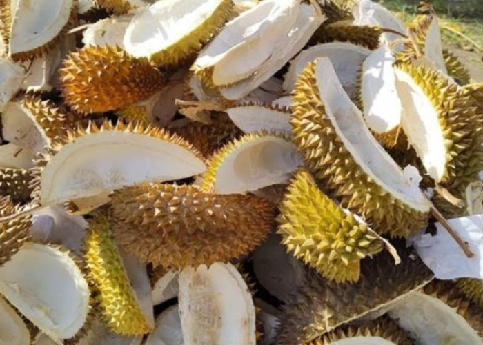 Tak Banyak yang Tahu, Ini 5 Manfaat Kulit Durian