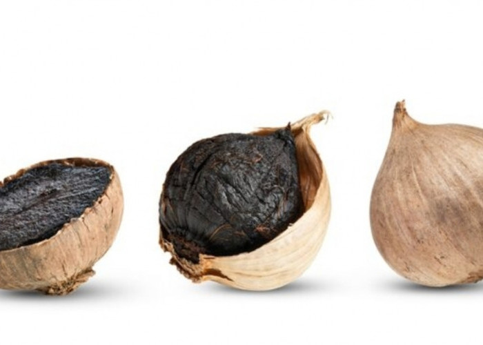 Rahasia Antioksidan Bawang Hitam, Pelindung Sel Tubuh dari Radikal Bebas