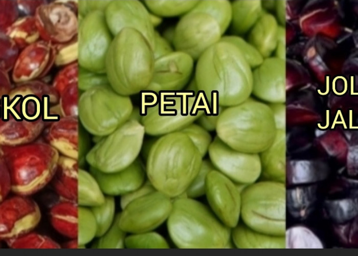 Tiga Lalapan Beraroma Kuat: Petai, Jengkol, dan Jolang-Jaling, Serupa Tapi Tak Sama!