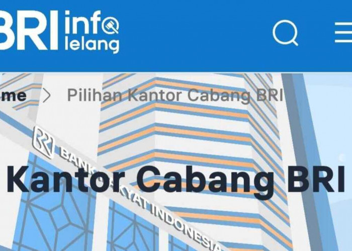 Tertarik Ikut Lelang? Ini Prosedur Serta Info Lelang di BRI