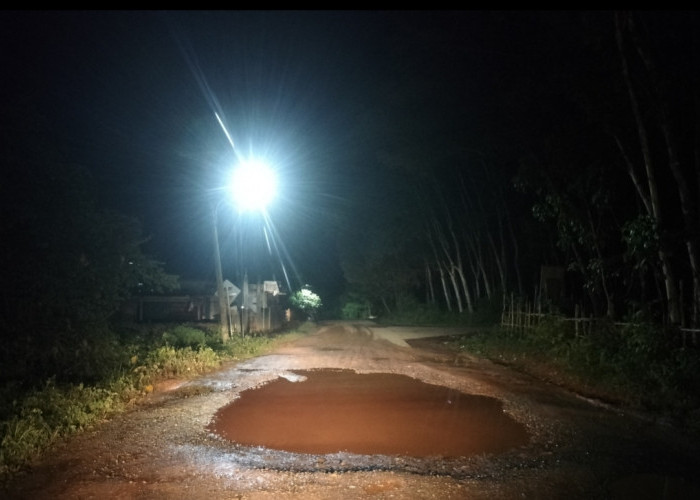 Tanjakan Pematang Pelajau Banyuasin Kian Mengkhawatirkan, Lubang Dalam Ancam Keselamatan Pengendara