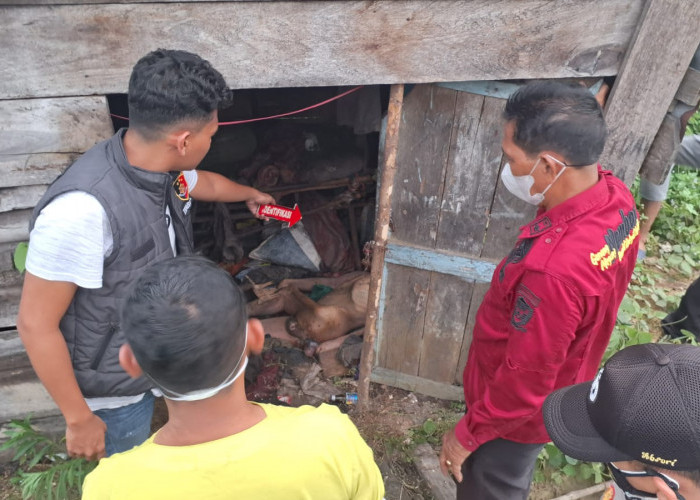 Jasad Lansia Ditemukan di Gubuk