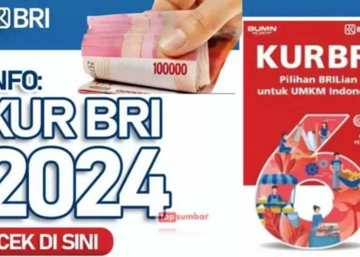 KUR BRI Jadi Pahlawan Permodalan UMKM 