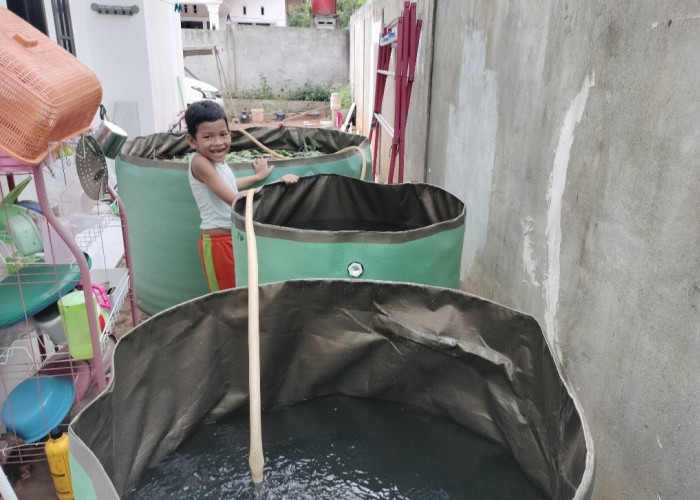 Ketahanan Pangan dari Pekarangan Rumah, Warga Banyuasin Harap Dukungan Bantuan Kolam Ikan dari Pemerintah