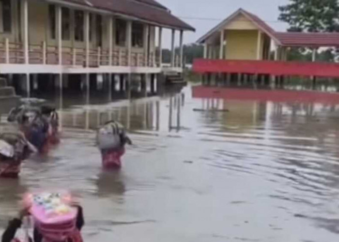 Pelajar SD di Desa Penandingan Banyuasin Terobos Banjir Demi ke Sekolah
