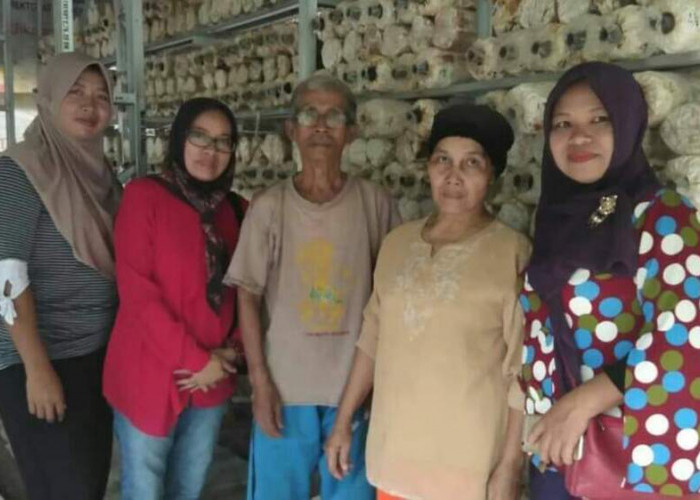 Kisah Sukses Petani dalam Budidaya Jamur Tiram di Banyuasin, Sumatera Selatan