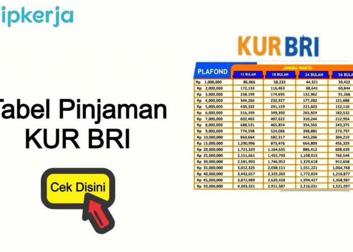 Bunga Rendah, Pinjaman KUR BRI Kian Diminati. Agus Ingin Buka Pangkalan Gas 