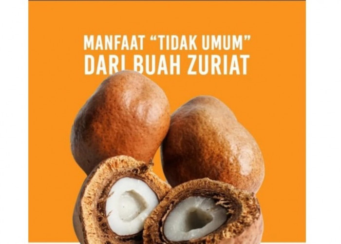 Manfaat Tidak Umum dari Buah Zuriat, Buah Eksotis yang Sarat Khasiat Tersembunyi