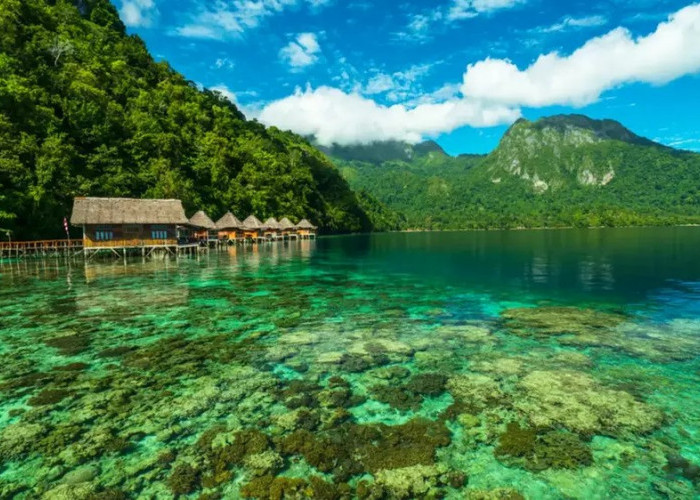 Menelusuri Keindahan Alam: 7 Pantai Terindah di Indonesia, Pantai Pasir Timbul Raja Ampat Juaranya !
