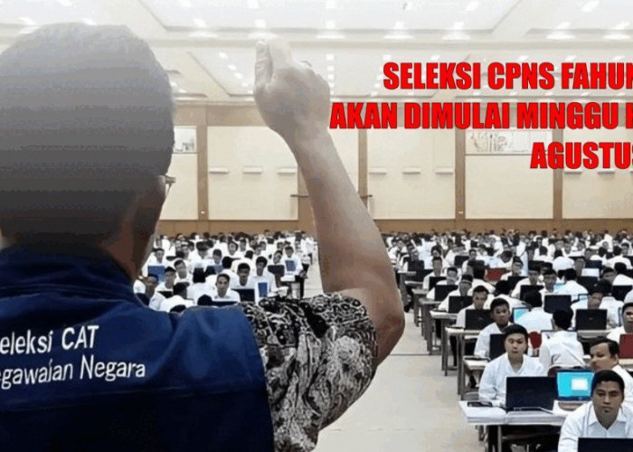 Seleksi CPNS 2024 Dibuka Minggu Ketiga Agustus, Ini Skenario Lengkap dan Daerah yang Telah Umumkan Formasi