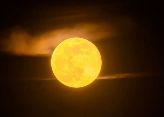 Fenomena Supermoon Membuat Bulan Tampak Lebih Besar dan Terang