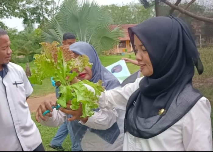 SMAN 3 Banyuasin III Kembangkan Tanaman Hidroponik