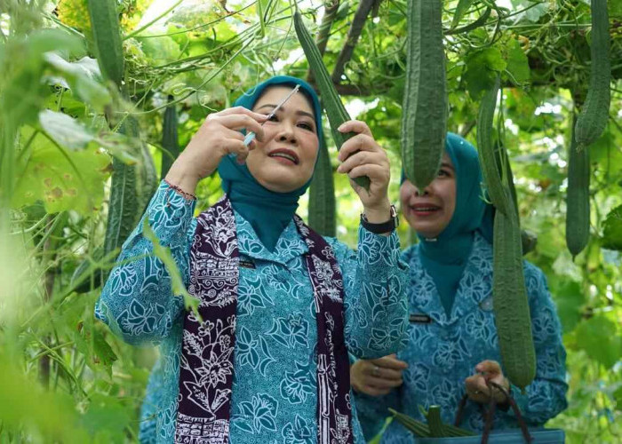 Ketua TP PKK Sumsel Feby Deru Dorong Kebun Wisata dan Desa Percontohan Saat Kunjungan ke OKI