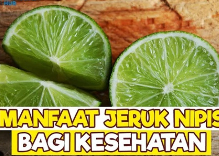 Rahasianya Bikin Kaget! Manfaat Jeruk Nipis untuk Kesehatan yang Belum Banyak Orang Tahu